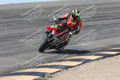 media/Oct-13-2025-Moto Forza (Mon) [[a66d839500]]/3-B Group/Session 2 (Bowl)/